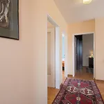 Kralj
