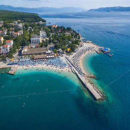 Kralj